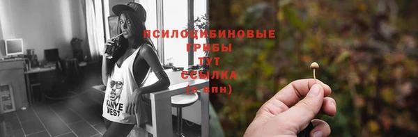 мескалин Арсеньев