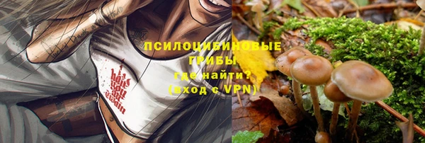 первитин Армянск